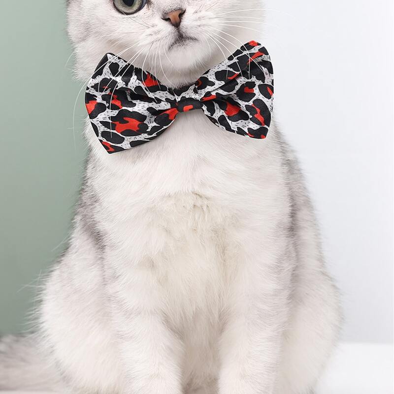 

Leopard Print Cat Bow Tie, Multicolor