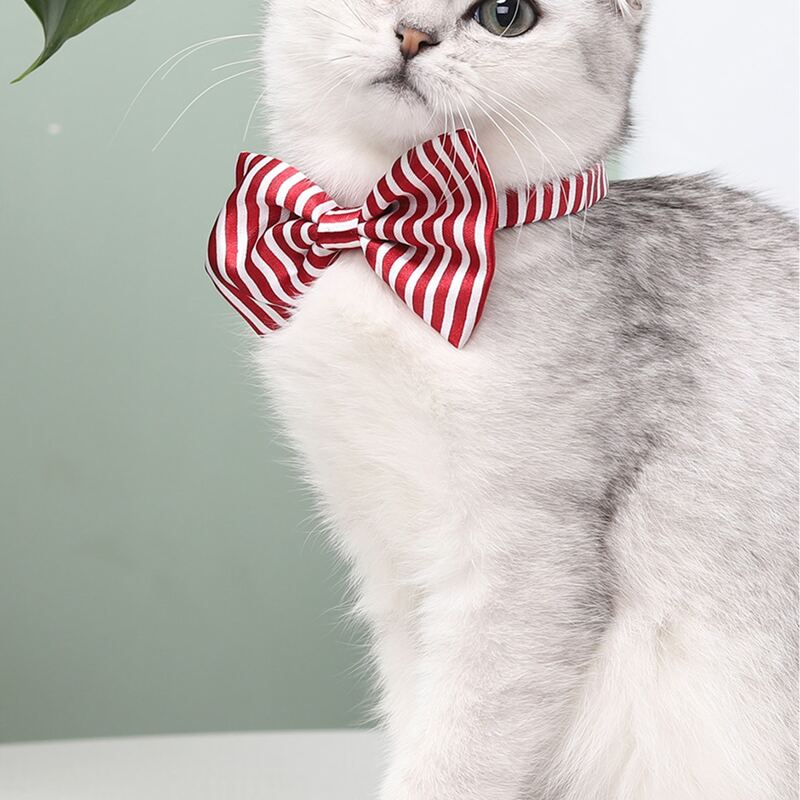 

Striped Pattern Cat Bow Tie, Red and white