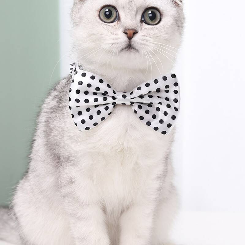 

Polka Dot Pattern Cat Bow Tie, Black and white