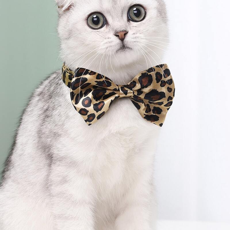 

Leopard Print Cat Bow Tie, Multicolor