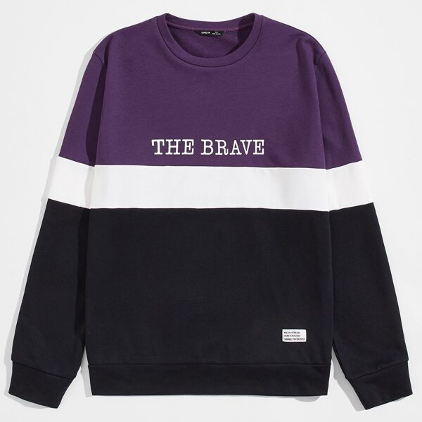 

Men Letter Graphic Colorblock Pullover, Multicolor