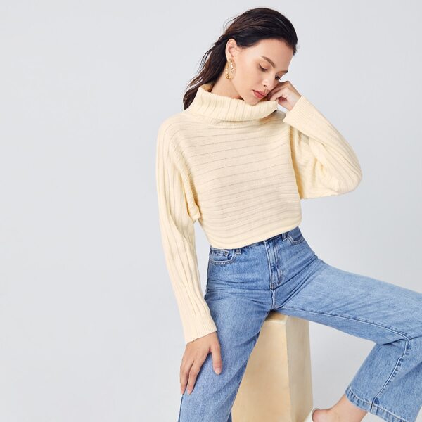 

Funnel Neck Batwing Sleeve Sweater, Beige