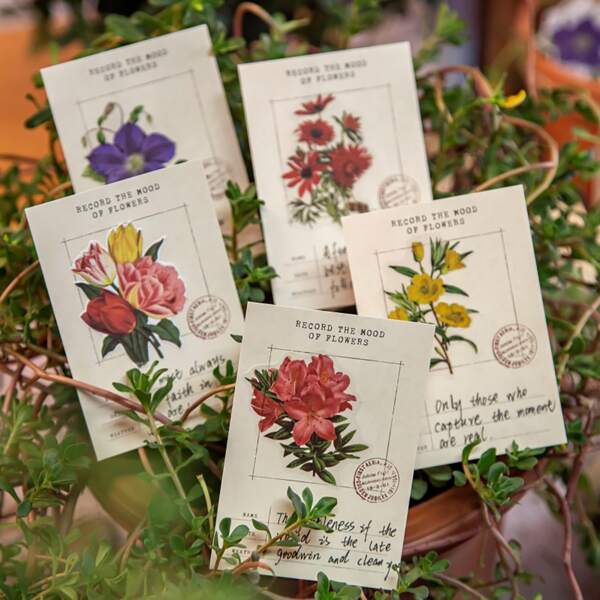 

30pcs Floral Pattern Random Sticker, Multicolor