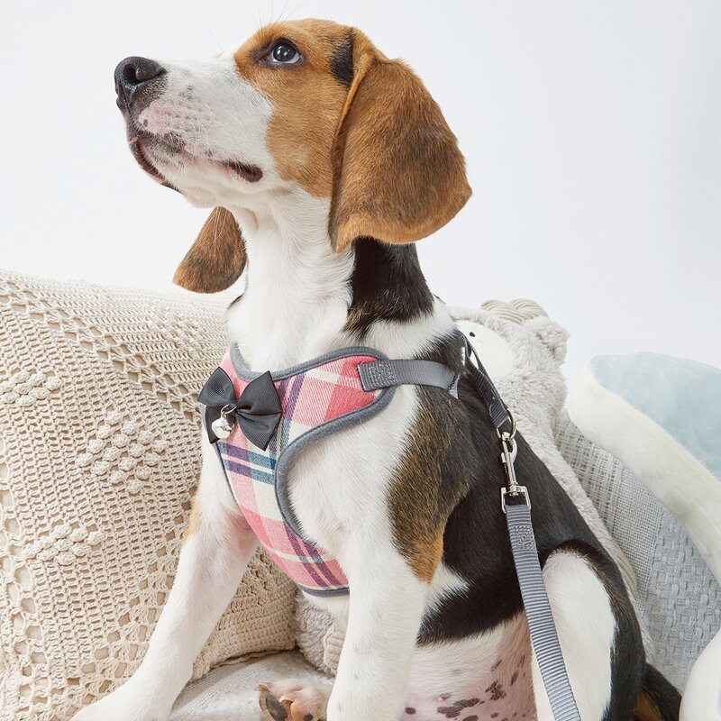 

1pc Bow Decor Plaid Dog Harness & 1pc Dog Leash, Multicolor
