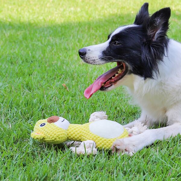 

Bear Shaped Dog Sound Toy, Yellow