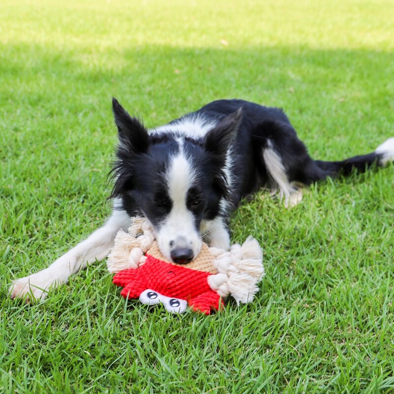 

Crab Shaped Dog Sound Toy, Red
