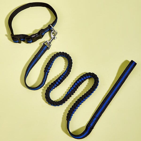 

1pc Contrast Trim Dog Collar With 1pc Leash, Blue