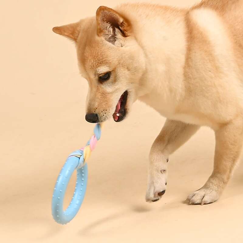 

Braided Rag Ring Dog Toy, Blue