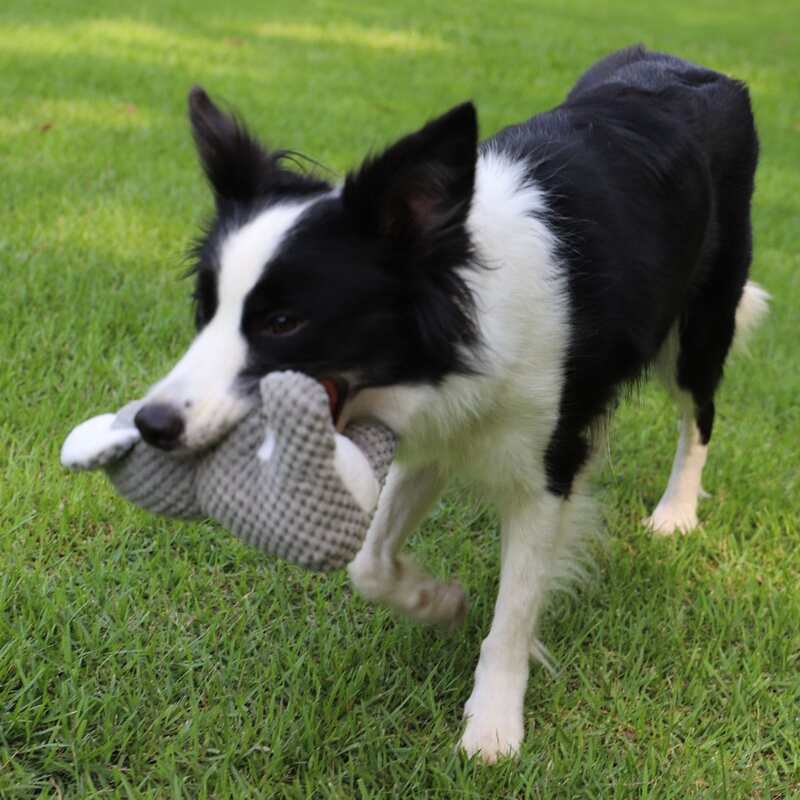 

Koala Shaped Dog Sound Toy, Dark grey