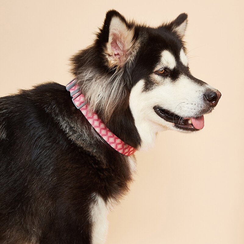 

Geometric Pattern Dog Collar, Red