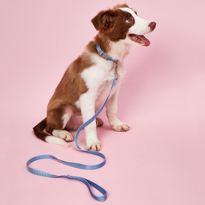 

1pc Geometric Pattern Dog Collar & 1pc Dog Leash, Blue
