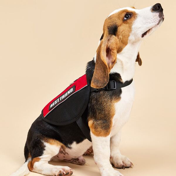 

Letter Graphic Dog Harness, Multicolor