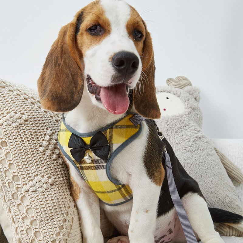 

1pc Bow Decor Dog Harness With 1pc Leash, Yellow