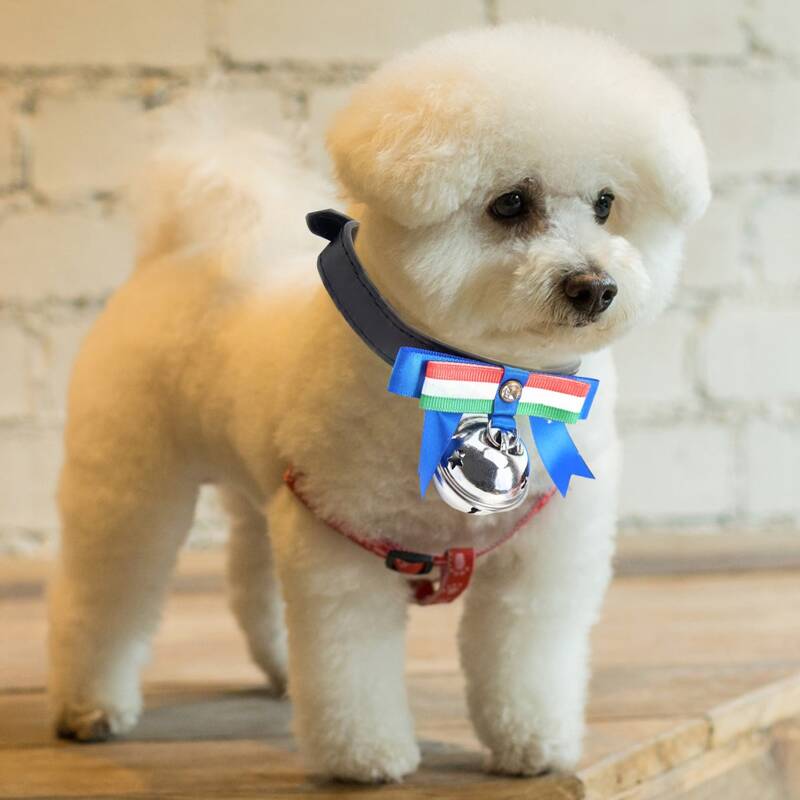 

Bell Decor Bow Dog Collar, Multicolor