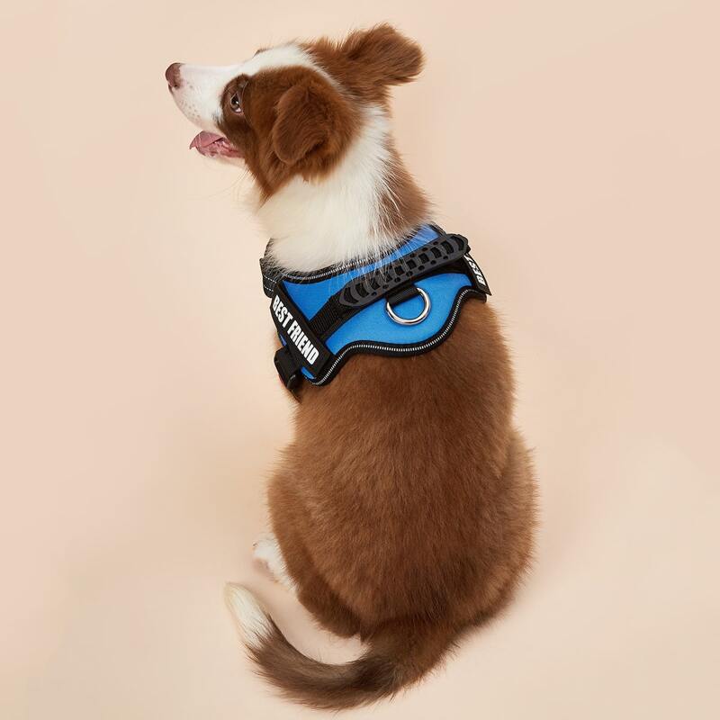 

Letter Graphic Buckle Dog Harness, Blue