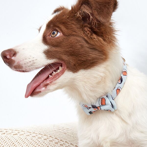 

Sushi Print Bow Dog Collar, Multicolor