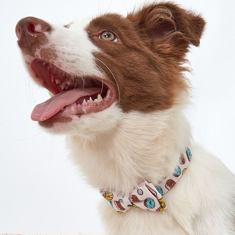 

Donut Print Bow Dog Collar, Multicolor