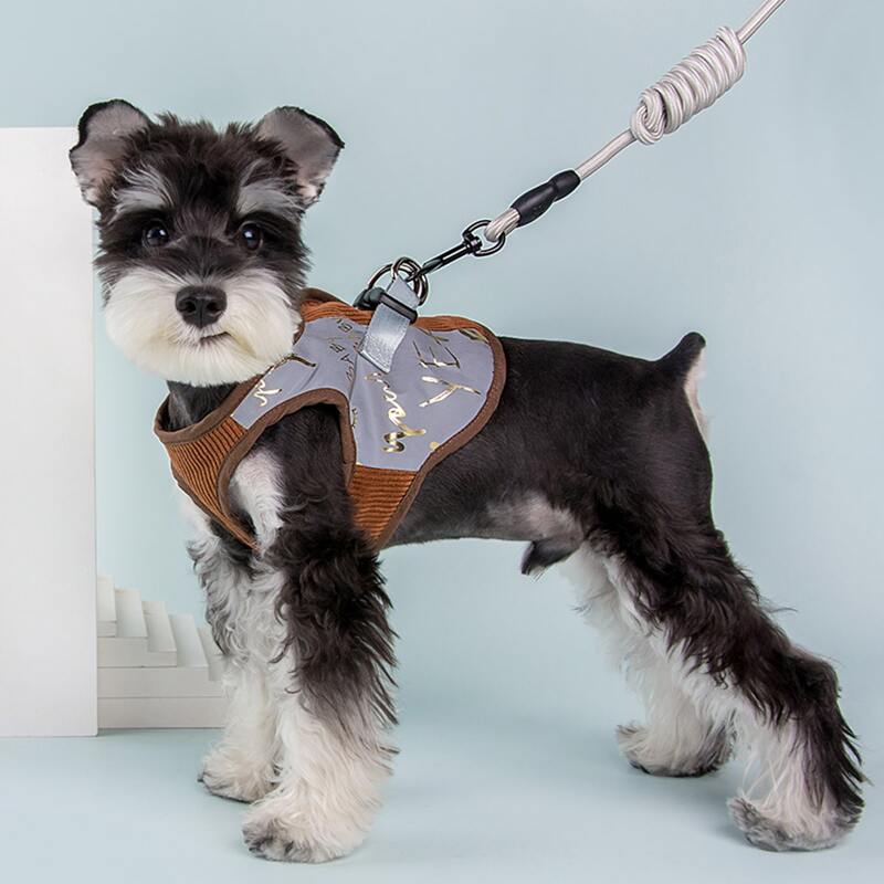 

1pc Letter Graphic Dog Harness & 1pc Leash, Multicolor