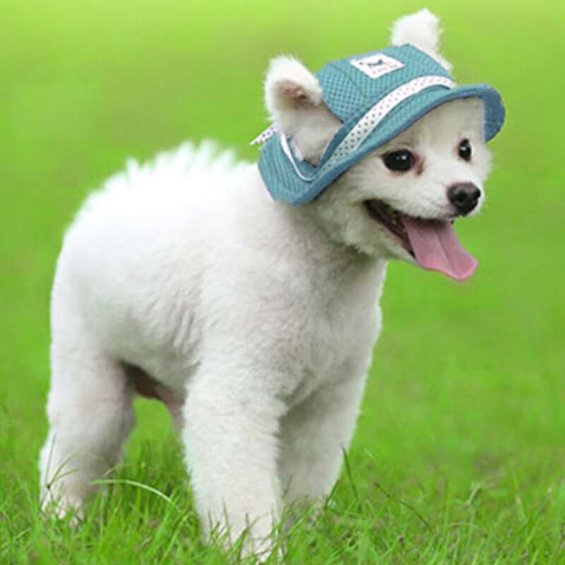 

Bow Decor Dog Baseball Cap, Baby blue