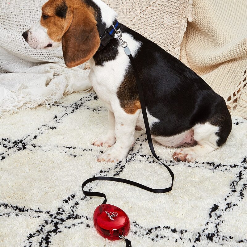 

1pc Retractable Dog Leash, Red