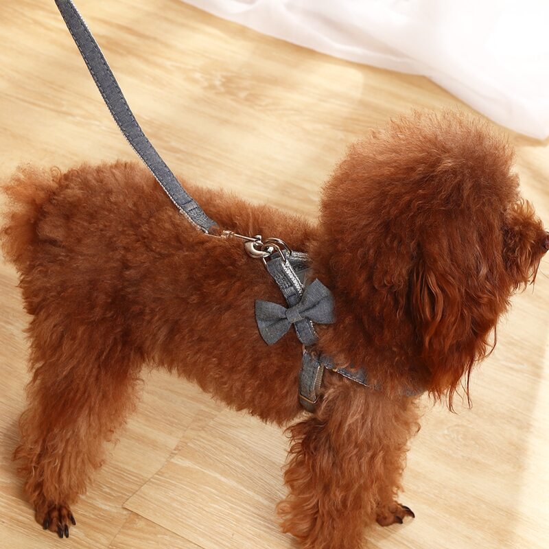 

1pc Bow Decor Dog Harness & 1pc Leash, Grey