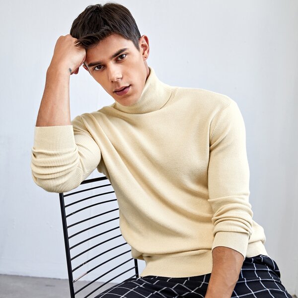 

Men Turtle Neck Solid Sweater, Beige