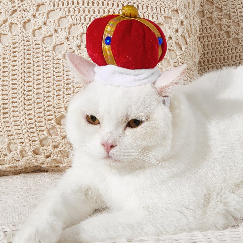 

Crown Design Cat Hat, Multicolor
