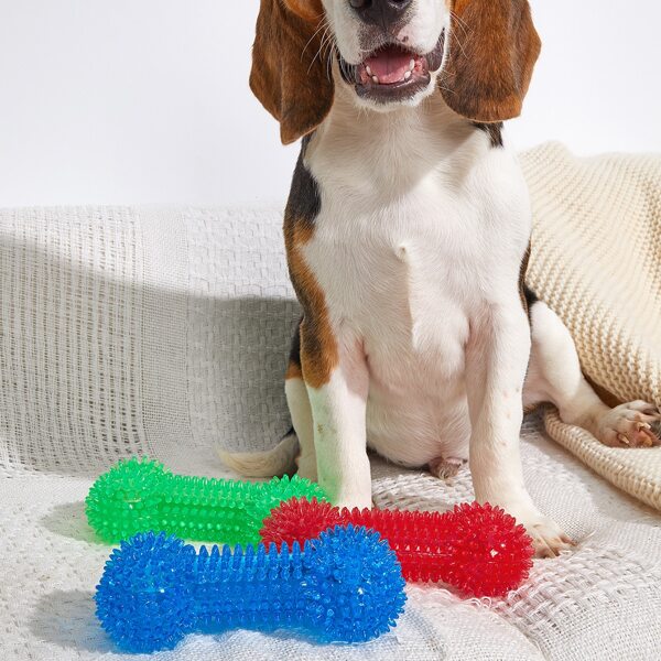 

1pc Bone Shaped Random Color Dog Chew Toy, Multicolor
