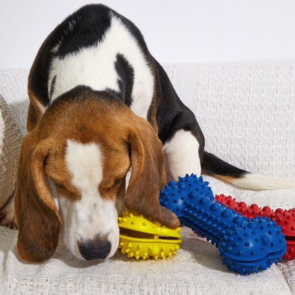 

1pc Bone Shaped Random Color Dog Leaking Food Toy, Multicolor
