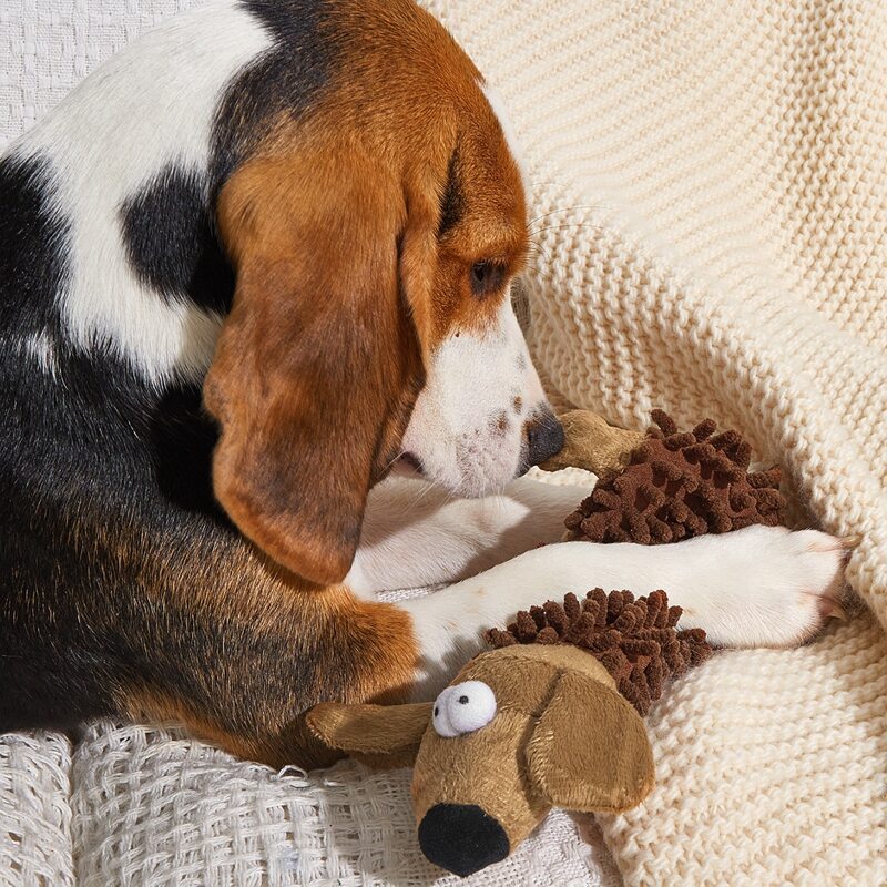 

1pc Cartoon Plush Dog Chew Toy, Chocolate brown