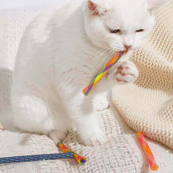 

3pcs Random Color Cat Teaser Stick, Multicolor