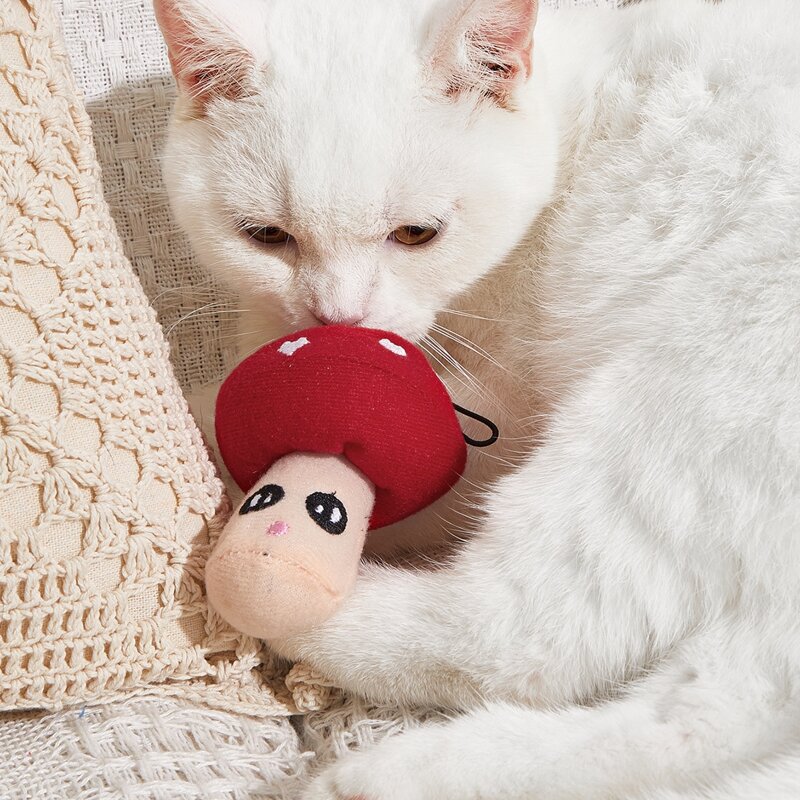 

Cartoon Mushroom Cat Toy, Multicolor