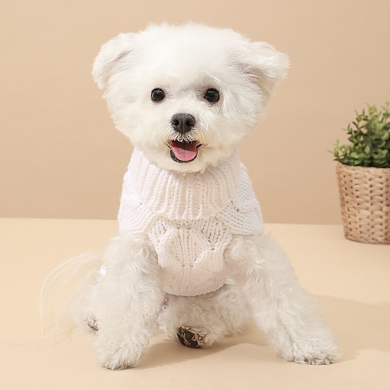 

Plain Dog Sweater, White