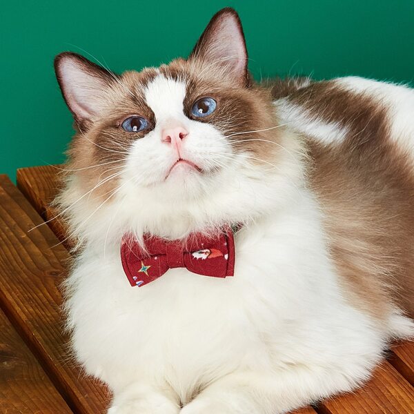 

Bell Charm Cat Bow, Red