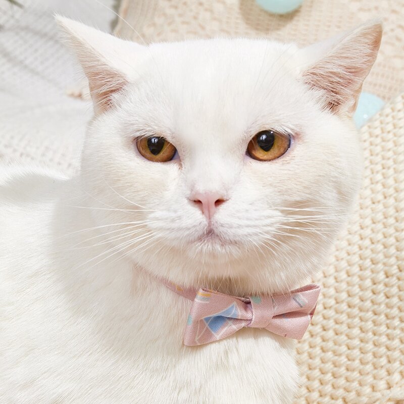 

Release Buckle Cat Bow, Pink