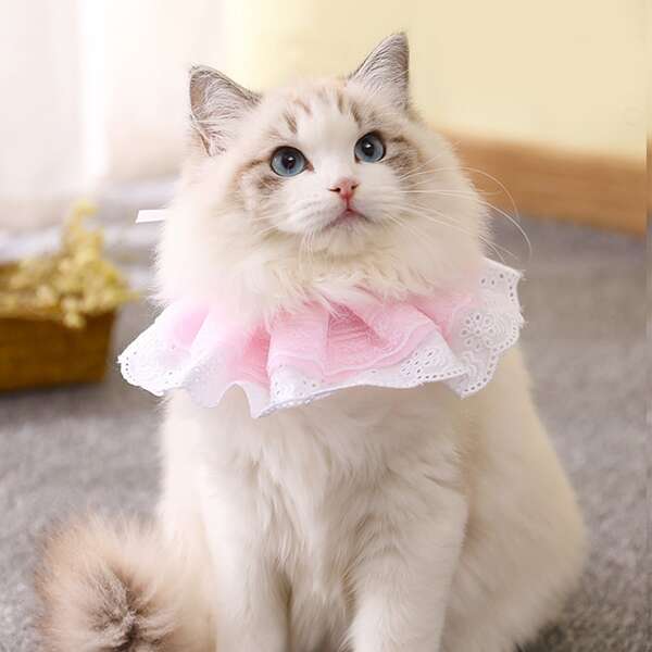 

Flower Decor Lace Cat Collar, Pink