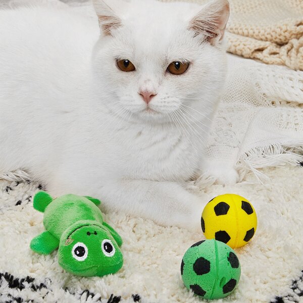 

3pcs Cartoon & Ball Design Cat Toy, Green