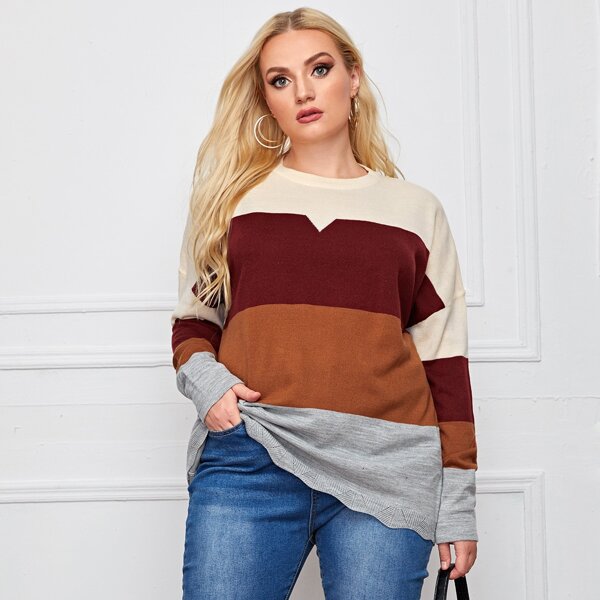 

Plus Drop Shoulder Colorblock Sweater, Multicolor