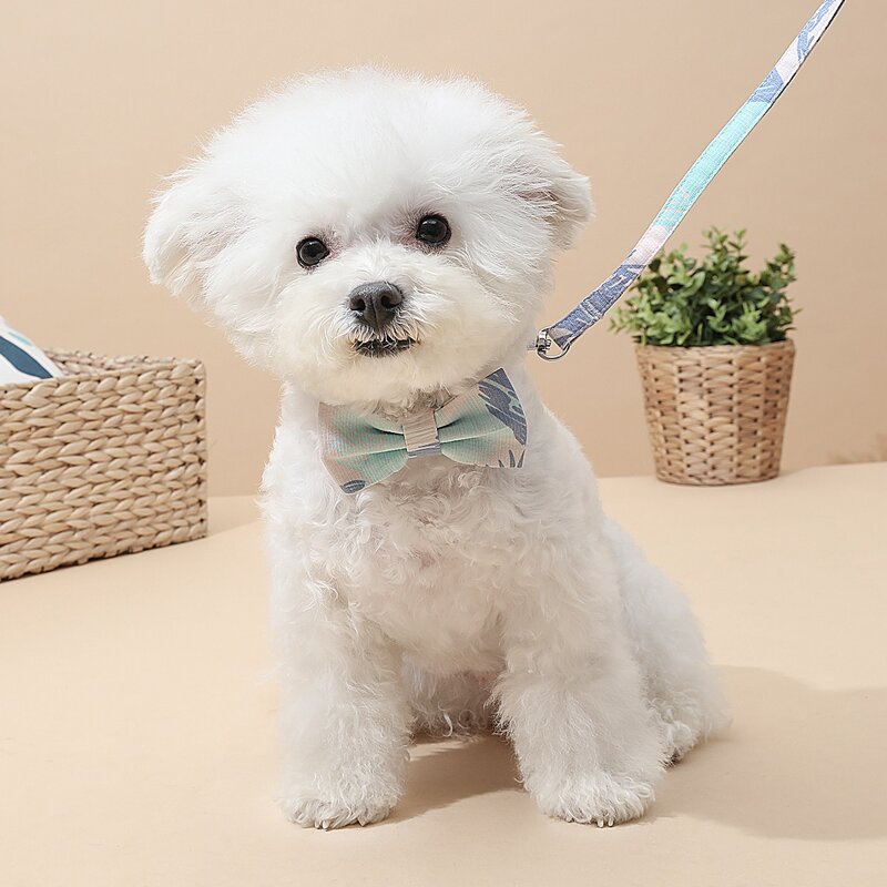 

1pc Bow Decor Dog Collar & 1pc Dog Leash, Blue