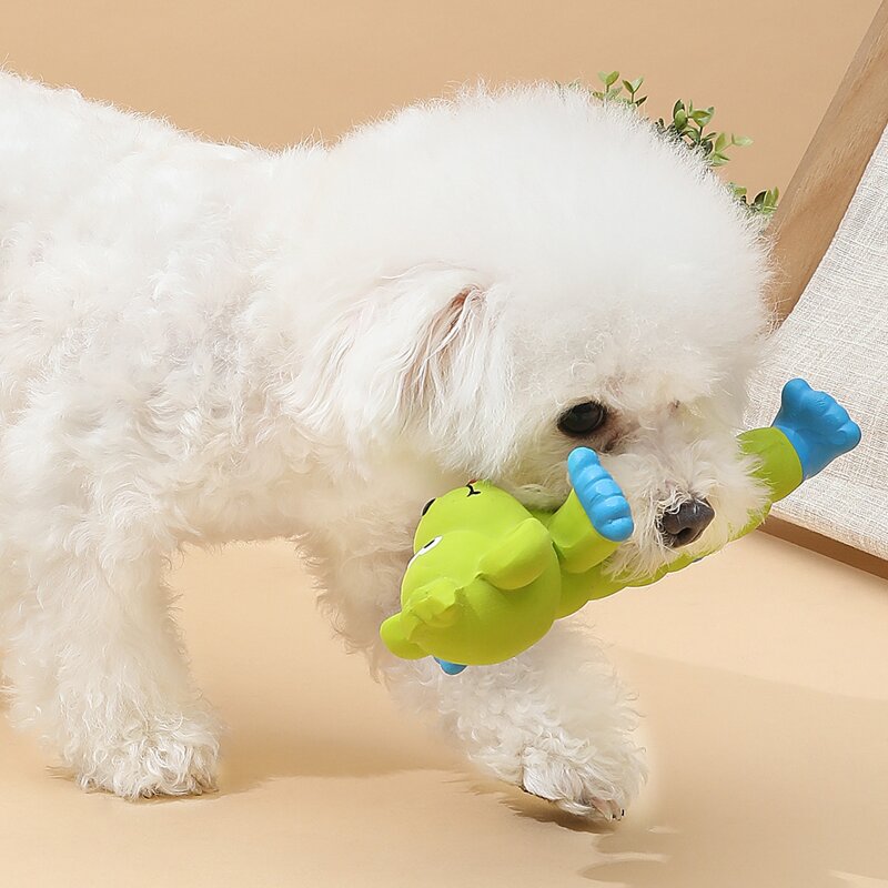 

Cartoon Design Dog Toy, Green