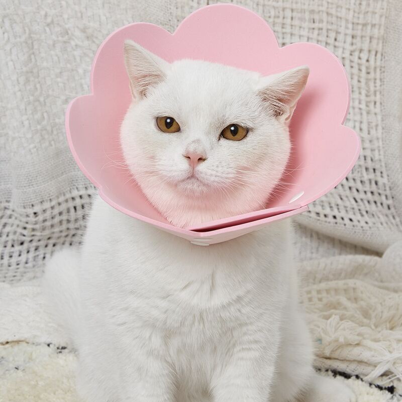 

Flower Design Cat Elizabeth Collar, Pink