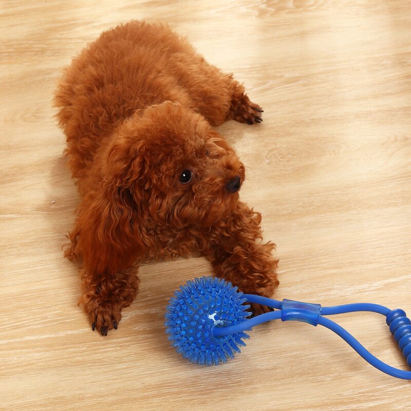 

Ball Design Dog Chew Toy, Blue