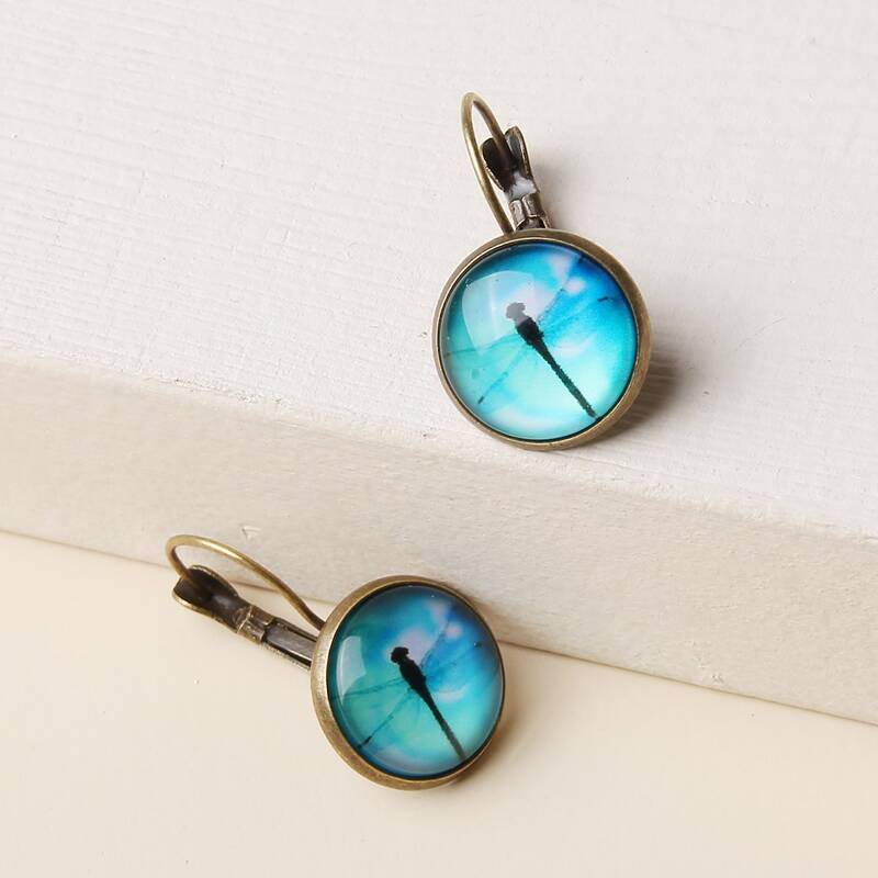 

Retro Dragonfly Round Earrings, Blue
