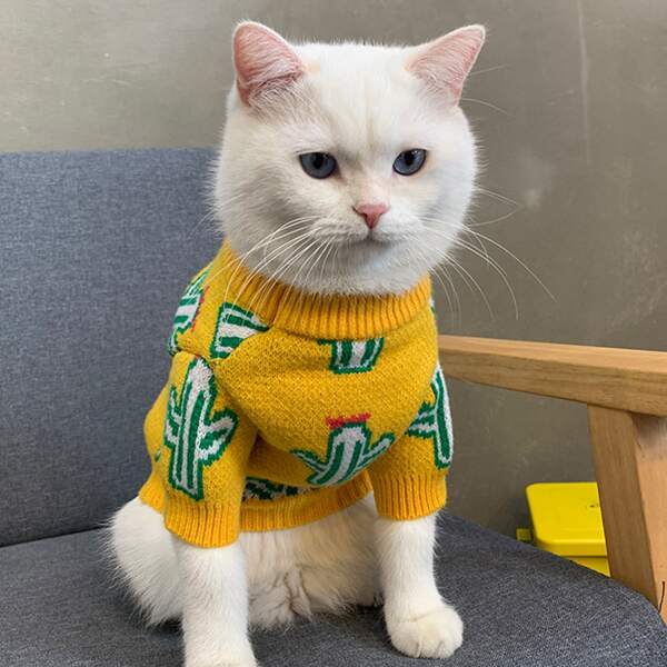 

Cactus Print Cat Sweater, Yellow
