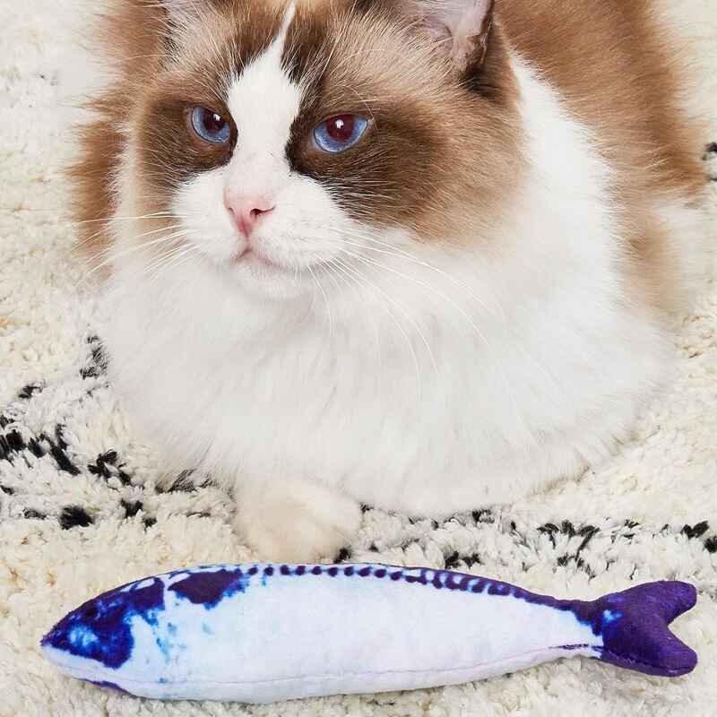 

Fish Shaped Cat Toy, Blue