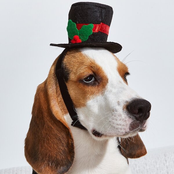 

Christmas Dog Top Hat, Black