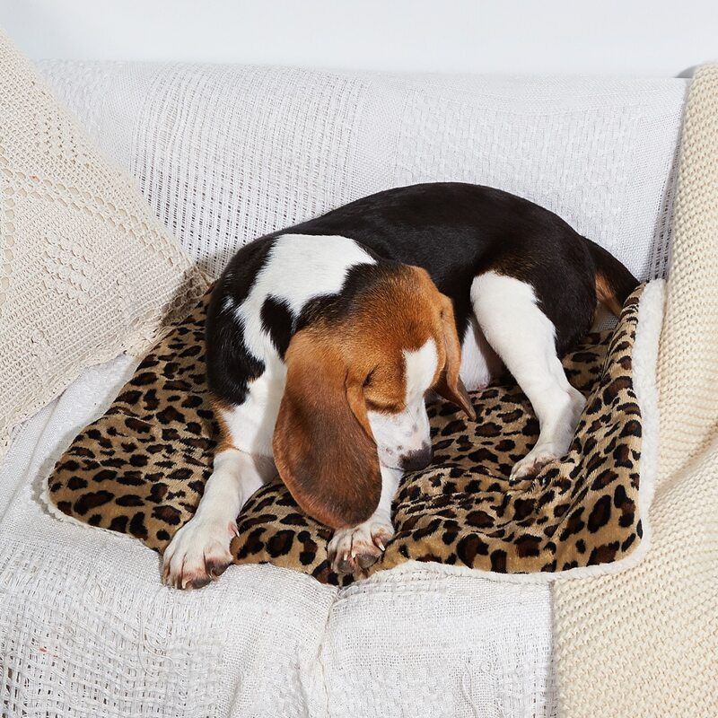 

Leopard Print Dog Mat, Multicolor