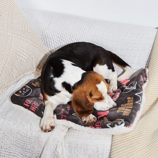 

Cartoon Graphic Dog Mat, Multicolor