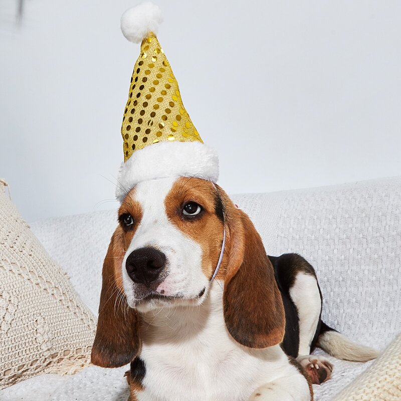 

Sequin Decor Christmas Dog Hat, Yellow