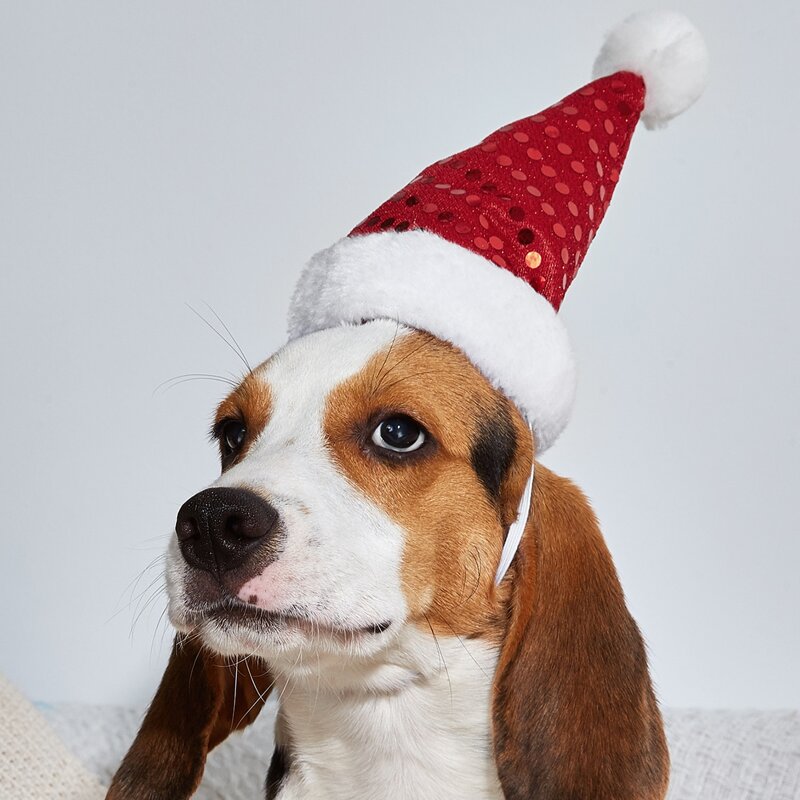 

Sequin Decor Christmas Dog Hat, Red